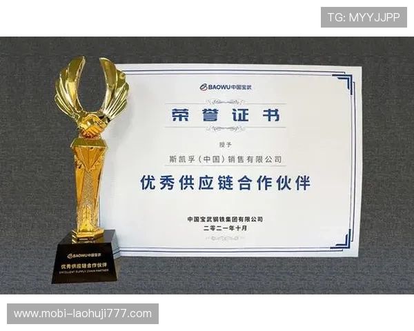 如何在FC电子市场中找到优质供应商与合作伙伴