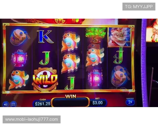 澳门老虎机赢了几百万的秘密揭秘让你了解赢钱的真实技巧与方法